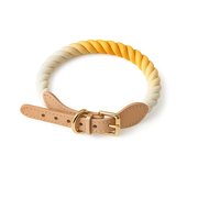Surfer - collier torsadé pour chien