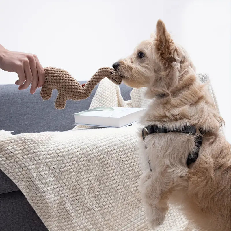 Pawzilla - Jouet Dinosaure pour chien